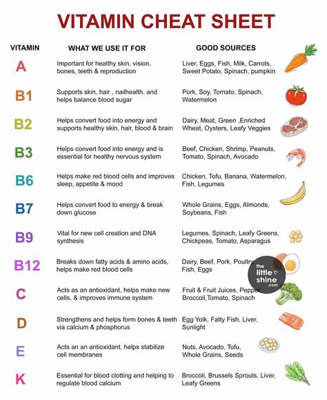 Vitamin Cheat Sheet, Vitamin B3 Niacin, Healthy Plate, Fatty Fish, Essential Vitamins, Health Knowledge, Red Blood Cells, Blood Cells, Cheat Sheet