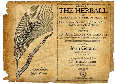 History of Herbal Medicine, part 3 Naturopathic Medicine, Ancient Books, Naturopathy, Regency Era, The Tudor, Old Book, Herbal Medicine, Herbal Remedies, Botanical Illustration