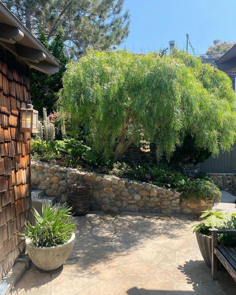 Phina Torbensen | Realtor | Laguna Beach | . Built in 1930. This house is special to my heart because this is the home I grew up in. Built by Laguna Beach architect Thomas Harper.… | Instagram Laguna Beach Homes, Laguna Beach California Houses, Laguna Beach Mansion, Laguna Beach House, Laguna Beach California Photography, Arched Doorways, Montage Laguna Beach, Cottage Exterior, Thick Rope