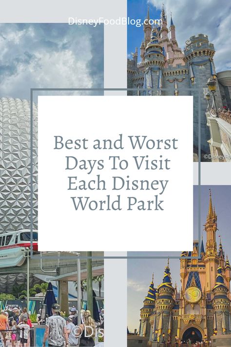 2 Days At Disney World, 6 Day Disney World Itinerary, Disneyland In One Day Adults, Best Days To Visit Each Disney Park, List Of Disney World Rides By Park, Disney World Park Ride List, Disney World Honeymoon, Disney World Attractions, Disney World Secrets