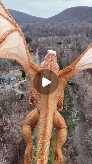 @dragon.and.me on Instagram: "Real or fake? 🙌🙃
.
One more work in progress test flight of our Tam 3D model. This time combined with footage I shot from a drone in Upstate NewYork
.
Project @dragon.and.me 
Modeling, texturing, animation @rid.bio 
Rigging @truongcgartist 
.
#Dragon #reptile #zbrush #lizard #sculpt #iguana #vfx #sculpting #3dart #motiongraphics #dragonandme #maxon #maxonzbrush #redshift #redshift3d #zbrushcentral #maya3d #rigging #ragdolldynamics #animation #3danimation #mayaanimation #drone" Lizards, Creature Design, Zbrush, 3d Animation, Digimon, Work In Progress, Flight, Texture, Instagram