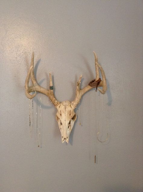 Jewelry holder from a deer skull. Deer Skull Jewelry Holder, Antler Diy, Skull Bedroom, Deer Skull Art, Jewlery Holder, Vanity Inspo, Skull Wall Decor, Jewerly Holders, Ram Skull