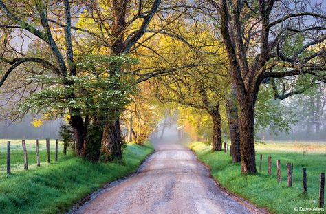 Long Weekend Locations | OutdoorPhotographer.com Cades Cove Photography, Tennessee Road Trip, Dave Allen, Fine Art Landscape Photography, Scenic Roads, Cades Cove, Great Smoky Mountains National Park, Fine Art Landscape, Smoky Mountain National Park