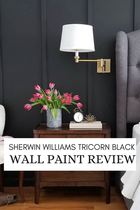 Sherwin Williams Tricorn Black Wall Paint Review Sherwin Williams Black Fox Paint Interior Doors, Tricorn Black Sherwin Williams Accent Walls, Sw Tricorn Black Accent Wall, Tricots Black Sherwin Williams, Tricorn Black Bedroom Wall, Tricorn Sherwin Williams, Tri Corn Black Sherwin Williams, Tricorn Black Wall, Tricorn Black Bedroom