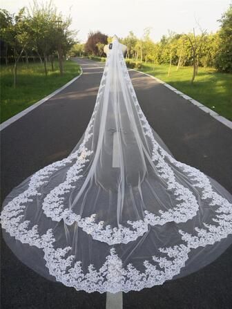 Veils Cathedral, Lace Wedding Veil, Bridal Wardrobe, Cathedral Wedding Veils, Beautiful Veil, Bride Veil, Cathedral Wedding, Wedding Veils Lace, Bridal Veils