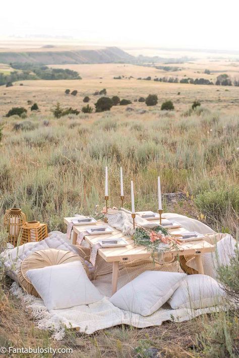 Picnic table in field with a set up. Burger Bar Ideas, Bridal Picnic, Picnic Baby Showers, Marble Cake Stand, Indoor Picnic, Outdoor Dinner Parties, Shady Tree, Food Bar, Beverage Tub