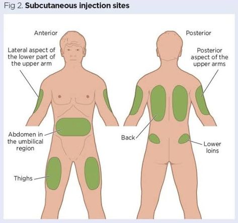 Injection Nursing, Injection Sites, Subcutaneous Injection, Nursing School Essential, Subcutaneous Tissue, Medical School Motivation, Nursing School Tips, Learning Support, Nurses Day