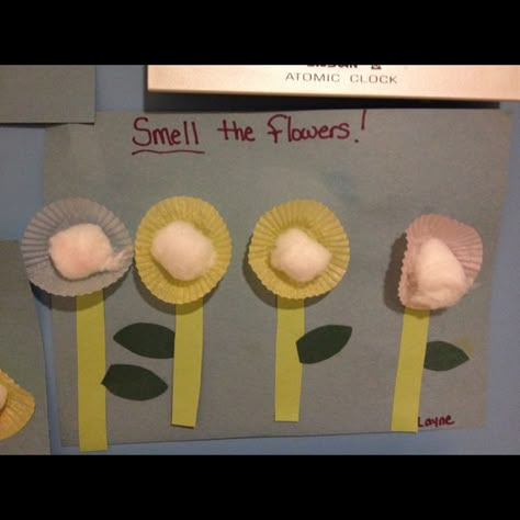 5 senses week .. Sense of smell... Spray cotton balls with different scents ( perfume works great) 5 Senses Craft, 5 Senses Preschool, Five Senses Preschool, Scents Perfume, 5 Senses Activities, Senses Preschool, My Five Senses, Senses Activities, Different Scents