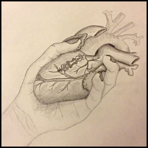 Someone Holding A Heart Drawing, Giving Someone Your Heart Drawing, Hand Holding Anatomical Heart, Hands Holding Heart Drawing, Hand Holding Heart Reference, Hand Squeezing Heart Drawing, Heart In Hand Drawing, Hand Holding Heart Drawing, Jessica Howell