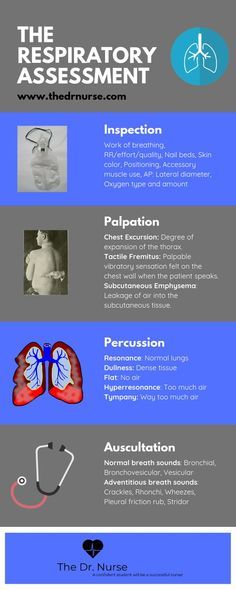 Click through for access to the downloadable version of this respiratory assessment checklist. Many more nursing study guides available including pharmacology health assessment pathophysiology dosage calculation and med-surg cheat sheets! Nursing | Nursing school | Nursing student | Respiratory system | Health assessment | Physical assessment | Respiratory assessment | Focused assessment | Nursing study guides Click through for access to the downloadable version of this respiratory assessment c Respiratory Assessment, Medical School Notes, Health Assessment Nursing, Assessment Nursing, Nursing Cheat Sheet, Assessment Checklist, Nursing Cheat, Lpn Schools, Nursing Assessment