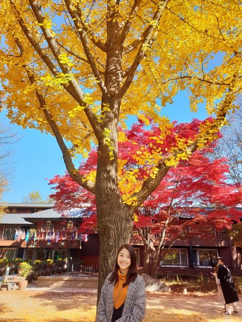 Autumn In Korea, Nami Island, Her Style, Chic Outfits, Love Her, Quick Saves