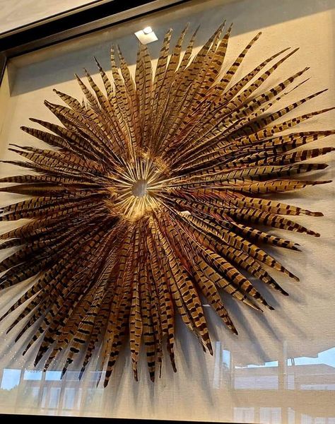 Pheasant Feather Wreath Diy, Display Turkey Feathers, Diy Feather Wall Art, Pheasant Feather Display, Pheasant Tail Display, Diy Turkey Feathers, Pheasant Taxidermy Mount, Pheasant Feather Decor Wedding, How To Display Feathers