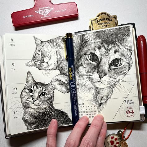 川井いねこ - Ineko Kawai (@kawai_ineko.art) • Instagram photos and videos Traditional Art Tips, Art Instagram Account, Pet Sketch, Pen Art Work, Notebook Art, Bullet Journal Art, Sketchbook Journaling, Sketch Painting, Art Instagram