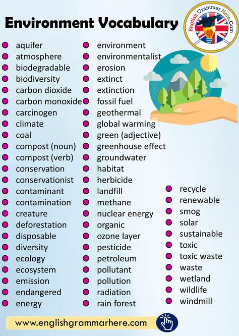 Environment Vocabulary List - English Grammar Here Environment Vocabulary English, Vocabulary Book Ideas, Education Vocabulary, Informal Words, Vocabulary Ideas, Ielts Vocabulary, Words List, Vocabulary English, Science Vocabulary