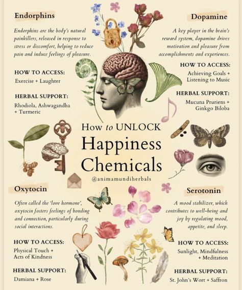 Happiness Chemicals, Ayurveda Life, Herbs Garden, Medical Herbs, Magic Herbs, Energy Healing Spirituality, Herbal Healing, Herbal Magic, Herbs For Health