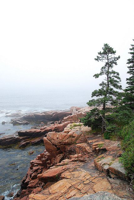 Acadia National Park, Maine USA Coastal Fog, Rocky Cliff, Acadia National Park Maine, Adventure Life, Maine Usa, Acadia National Park, Usa Travel, Travel Adventure, Vacation Spots