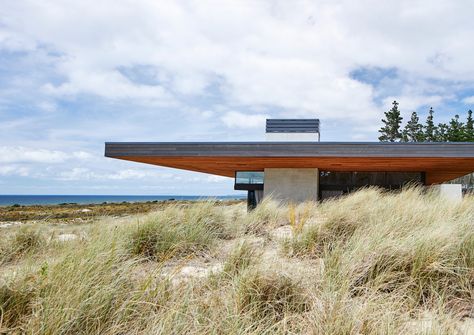 This seamless integration of Fisher & Paykel appliances speak to the trademark “desire to keep the materials honest, simple and very robust.” The kitchen flows seamlessly from indoors to out, where an expansive silvered timber deck eventually gives way to rolling dunes. Architecture by Studio John Irving Architects Photography by Simon Wilson #modernappliances #kitchendesign #kitchenappliances #cookinginspiration #interiordecor #modernkitchen #familyhome #homerenovation #luxurykitchen John Irving, Kitchen Appliances Luxury, House Chores, Fisher Paykel, Coastal House, The Local Project, Curated Design, Painting Studio, Local Design