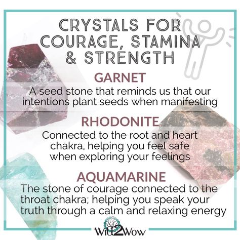 Crystals For Strength And Courage, Crystals For Strength, Crystal Magick, Rock Identification, Healing Rocks, Crystal Seashells, Crystal Healing Chart, Law Of Karma, Spiritual Awakening Signs