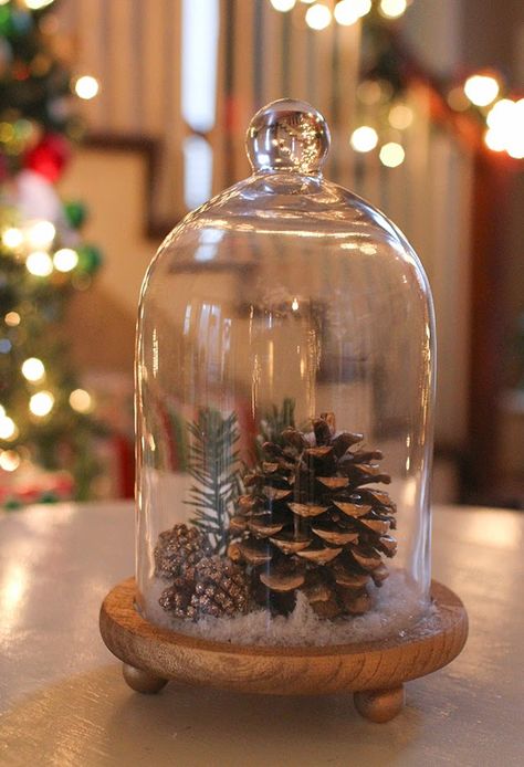 Glass Cloche Decor, Cloche Decor, Handmade Holiday Gifts, Inside Decor, Diy Holiday Gifts, Glass Cloche, Diy Holiday Decor, Winter Home Decor, Kwanzaa