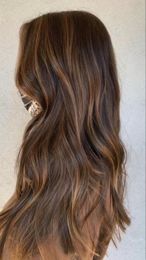 Light Brown Hair Styles, Light Brown Hair Shades, Brown Hair Styles, Light Brunette Hair, Rambut Brunette, Honey Brown Hair, Brown Hair Looks, Brown Hair Inspo, Brunette Hair With Highlights