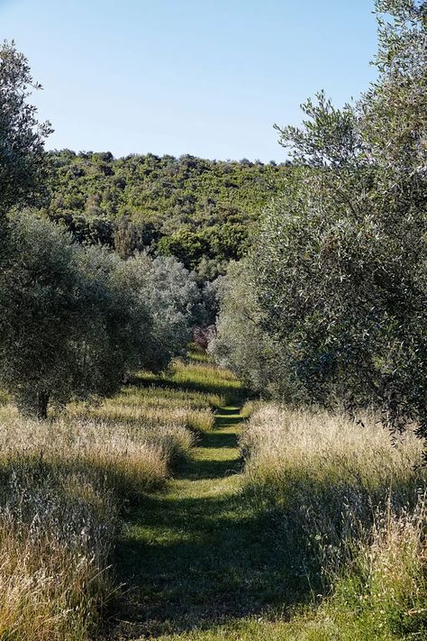 Provence Garden, Tuscan Garden, Woodland Cottage, Wild Flower Meadow, Olive Grove, Garden Grove, London House, The Cloisters, Mediterranean Garden