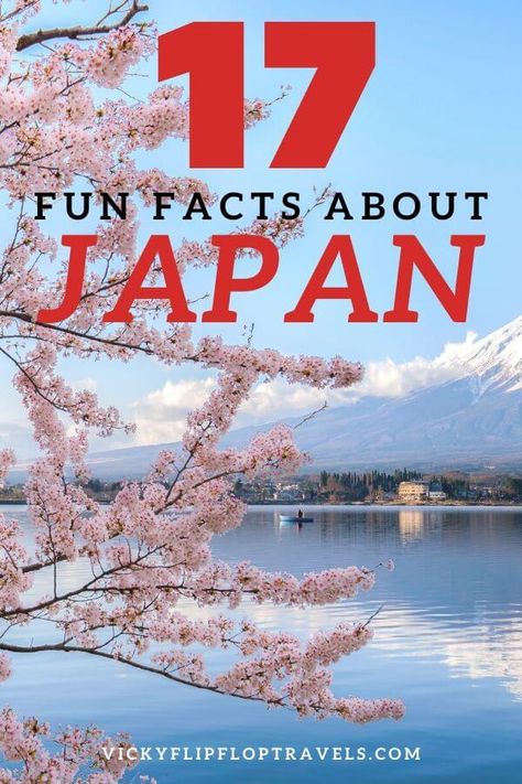 17 Fun Facts About Japan to Know Before You Go | VickyFlipFlopTravels Facts About Japan, Japan Facts, Learn Japan, Travel Wisdom, Eerie Places, About Japan, Memoirs Of A Geisha, Pregnancy Announcements, Luxury Destinations