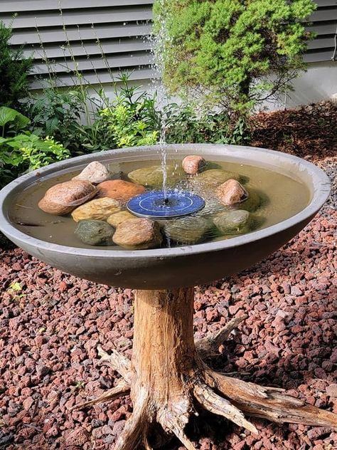 Create a Stunning Bird Bath Fountain from an Old Tree Trunk: Here’s How! Ideas For Tree Stumps, Stump Bird Bath, Tree Stump Ideas, Ideas For Yard, Stump Ideas, Compost Soil, Lawn Alternatives, Diy Water Fountain, Solar Water Fountain