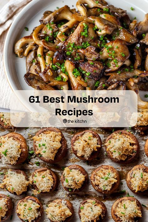 These wildly popular mushroom recipes — from pastas to soups — put mushrooms front and center, where they belong. Mushroom Entree Recipes, Mushroom Entree, Best Mushroom Recipes, Southern Veggies, Mushroom Meals, Recipe Vegetables, Mushroom Recipes Vegan, Best Mushroom Recipe, Resep Vegan