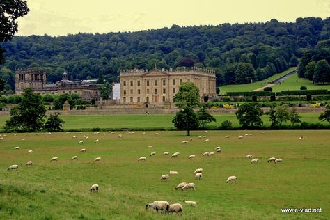 British Manor, Woburn Abbey, English Country Manor, Country Mansion, European Cottage, English Manor Houses, Country Estates, Country Manor, Blenheim Palace