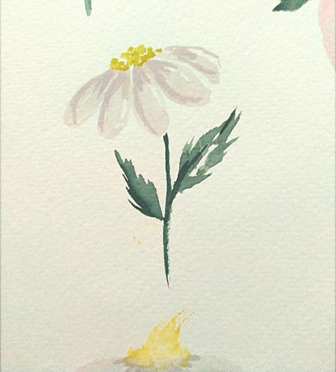 daisy watercolor Watercolour Daisy Simple, Daisies Drawing Simple, Watercolor Daisies Simple, Water Colour Flowers Simple, White Daisy Watercolor, Daisy Flower Drawing Watercolors, Watercolour Daisy Tattoo, Daisy Watercolor Painting Easy, Daisy Flower Watercolor