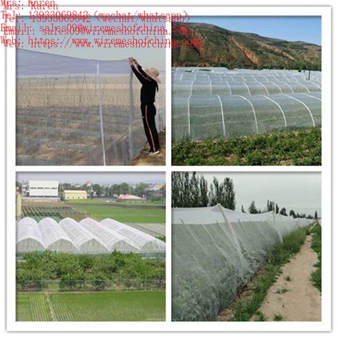 ● Greenhouse Insect screen also named anti-fly netting. ● Anti-fly screen is used in greenhouses and nurseries in order to control the movement of insects inside and outside the greenhouse. ● Insect netting comes in many hole sizes based on the size of the smallest insect you are looking to control. ● Anti insect net, also known as plant and vegetables greenhouse net / greenhouse screening mesh. Prevent the insect fly into the greenhouse during the plant growing, and cover the plants. Greenhouse Screening, Insect Netting, Insect Screening, Small Insects, Plant Growing, The Greenhouse, Greenhouses, Nurseries, Agriculture