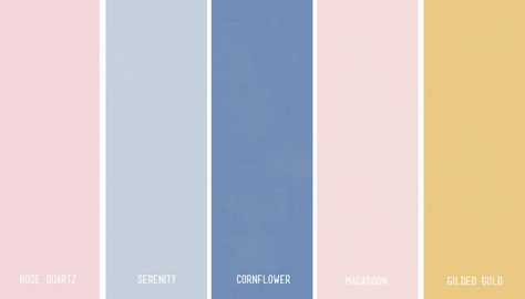 Rose Quartz & Serenity Wedding Inspiration Color Palette | My Wedding Favors | @myweddingfavors Seventeen App Icon, Rose Quartz And Serenity Wedding, Serenity Color, Blue Boutonniere, Romantic Wedding Colors, Romantic Colors Palette, Rose Quartz And Serenity, Rose Quartz Color, Rose Quartz Serenity