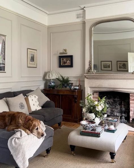 French Country Sitting Room, Country Sitting Room, Best Mushroom Paint Colors, Farrow And Ball Living Room, Lounge Vibes, Soothing Bedroom, Elephants Breath, Skimming Stone, Oval Room Blue