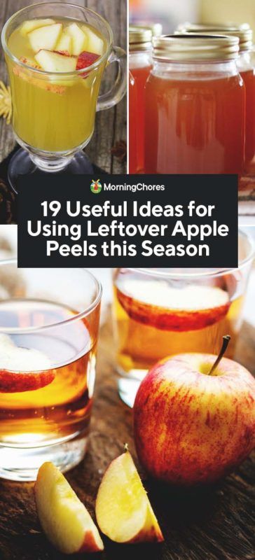 19 Useful Ideas for Using Leftover Apple Peels this Season Apple Peel Recipe, Applesauce Apple Butter, Make Applesauce, Something From Nothing, Leftover Apples, Apple Ideas, Vegetable Benefits, Apple Peeler, Canning Tips