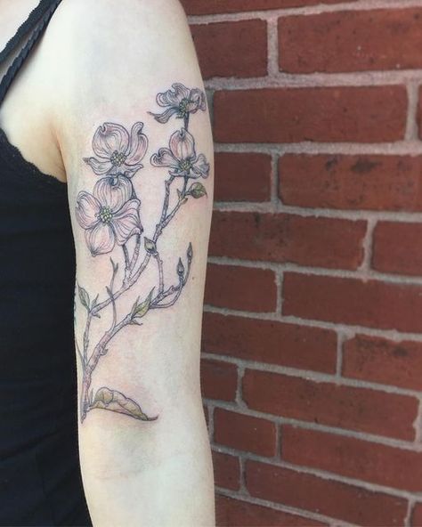 Dogwood Branch Tattoo, Dogwood Tree Tattoo, Dogwood Flower Tattoo, Dogwood Tattoo, Dogwood Flower Tattoos, Botanical Tattoos, 2023 Tattoo, Dogwood Branches, Branch Tattoo