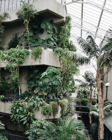 Isaac Wilks 🎤🐢 on Twitter: "I think we can do some jungle brutalism… " Brutalist Concrete, Barbican Conservatory, Brutalism Architecture, Eco Architecture, Urban Nature, Green Architecture, Brutalist Architecture, Concrete Jungle, Lush Greenery