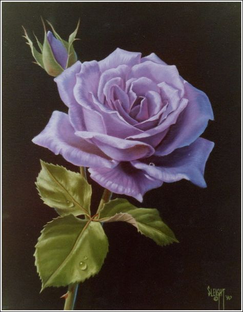 Sterling silver rose | STERLING_SILVER_ROSE - oil painting by Judy Sleight Purple Rose Painting, Water Soluble Oil Paint, Rose Painting Acrylic, Family Tree Canvas, Tree Of Life Painting, Rose Oil Painting, Realistic Oil Painting, Celtic Tree Of Life, Celtic Tree