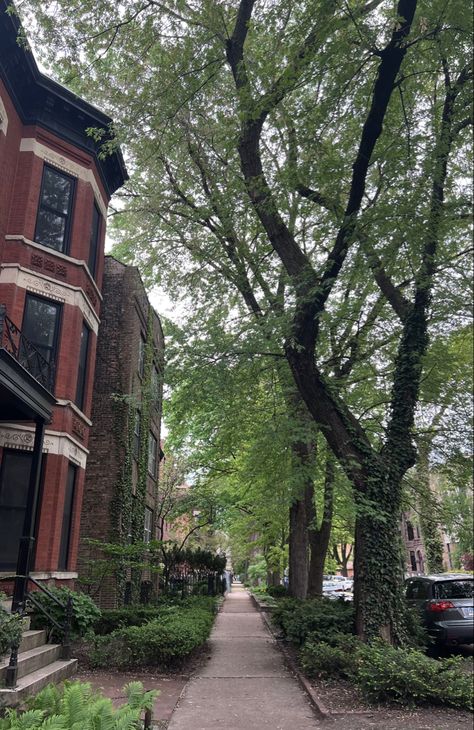 Chicago Lincoln Park, Chicago Brownstone, Chicago Life, Chicago Fall, Chicago Vacation, 2024 Manifestation, Lincoln Park Chicago, Chicago Trip, Chicago Aesthetic