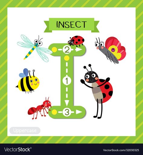 Letter I For Insect, Insects For Kids, Letter Flashcards, English Worksheets For Kids, Flashcards For Kids, Abc Alphabet, Alphabet Flashcards, Alphabet Tracing, Nursery Poster