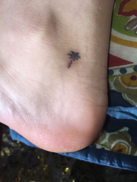 my tiny palm tree stick n poke tattoo Palm Tree Stick And Poke, Ocean Stick And Poke Tattoo, Tree Stick And Poke, Small Tattoos Stick And Poke, Small Stick And Poke, Tattoos Stick And Poke, Stick And Poke Tattoos, Stick Poke, World Map Tattoos