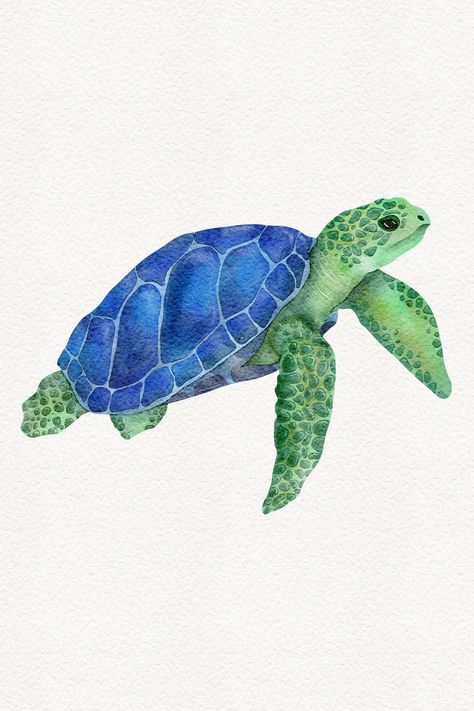 Watercolor hand painted sea turtle illustration isolated on white background, cute and detailed ocean animal drawing Sea Glass Drawing, Watercolor Art Ocean Animals, Watercolor Marine Life, Turtle Swimming Drawing, Water Background Drawing, Watercolour Sea Creatures, Sea Animal Paintings, Sea Animals Painting, Ocean Animals Painting