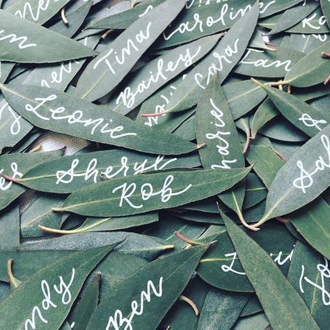 Gum leaf place cards / hand written leaves / calligraphy leaf place cards / Australian native wedding / wedding ideas / nature themed wedding Nature Wedding Ideas, Leaf Place Cards, Nature Themed Wedding, Bush Wedding, Calligraphy Inspiration, Aussie Christmas, Australian Christmas, Emerald Wedding, Neutral Wedding