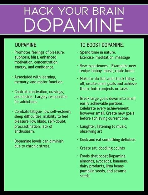 How To Increase Dopamine, Dopamine Diet, Increase Dopamine, Dopamine And Serotonin, Nervus Vagus, Increase Serotonin, Brain Facts, Mental Health Facts, Happy Hormones