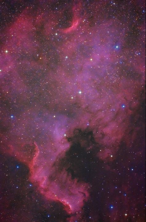 The North America Nebula (NGC7000) Heart Nebula, Space And Galaxy, Aliens Are Real, Space Pics, Beauty Of Space, Celestial Objects, Sassy Wallpaper, Galaxy Images, Pretty Wallpapers Tumblr