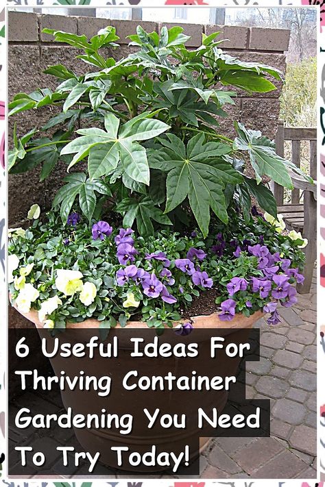 Discover 6 useful ideas for thriving container gardening that will transform your space! Whether you're a beginner or an experienced gardener, these innovative tips will help you maximize your container plants' potential. From choosing the right containers to selecting the best soil and plants, this guide will inspire you to create a vibrant garden right on your balcony or patio. Start your container gardening journey today and enjoy lush greenery at your fingertips! Maximize Small Space, Useful Ideas, Delicious Vegetables, Lush Greenery, Vibrant Flower, Container Plants, Container Gardening, Soil, Balcony