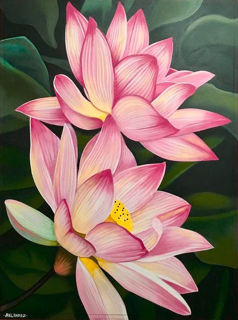 Stitch Images, Goddess Garden, Lotus Flower Painting, Lilies Drawing, Apple Picture, Lotus Flower Art, Lotus Painting, Semester 2, Lotus Art