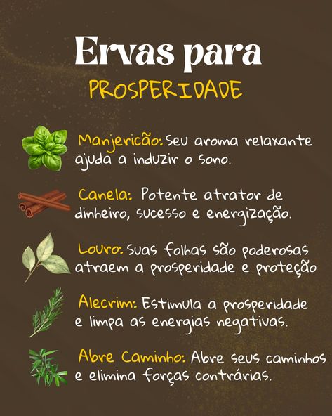 Descubra o poder das ervas para atrair prosperidade e abundância para sua vida. Para potencializar esses efeitos, faça um banho energético com essas ervas em lua crescente, visualizando a prosperidade que deseja atrair. E lembrando que é a última oportunidade de entrar para o curso online sobre ervas e aprofunde-se no uso mágico das plantas para transformar sua vida! 🌿 Ainda dá tempo de aprofundar seus conhecimentos! Garanta sua vaga no nosso curso online sobre ervas, mas corra, pois est... Magia Das Ervas, August 19, Ritual, On Instagram