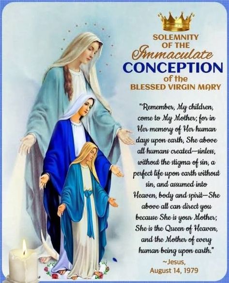 Feast Of Immaculate Conception, Happy Feast, I Love My Mother, Blessed Mary, Closer To God, Queen Of Heaven, Get Closer To God, Immaculate Conception, Blessed Mother Mary