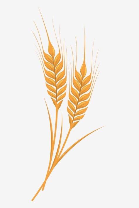 Wheat Illustration Design, Wheat Drawing Simple, Grains Drawing, Wheat Graphic, Wheat Logo Design, Wheat Illustration, Wheat Drawing, Joseph Crafts, Wheat Tattoo