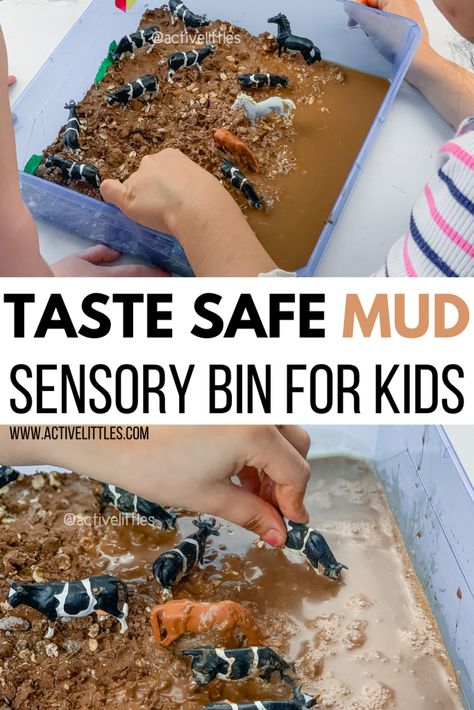 Wild Animal Sensory Bin, Rodeo Sensory Bin, Play Mud Recipe, Elephant Sensory Bin, Spring Tuff Tray Ideas For Babies, Horse Sensory Bin, Farmer Activities For Toddlers, Sensory Food Activities, Dog Sensory Bin